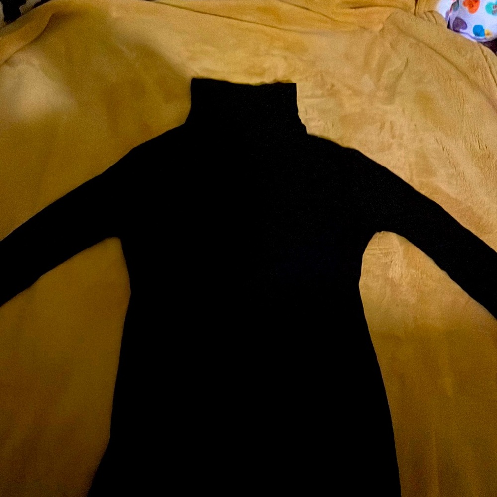 Black turtle neck silky, soft long sleeve shirt.